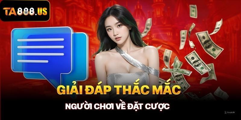 Lời giải chi tiết cho người chơi về vấn đề đặt cược